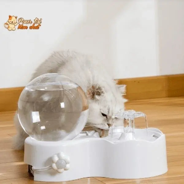 Fontaine pour chat avec pompe à eau silencieuse avec capteur de mouvement - Pour toi Mon chat