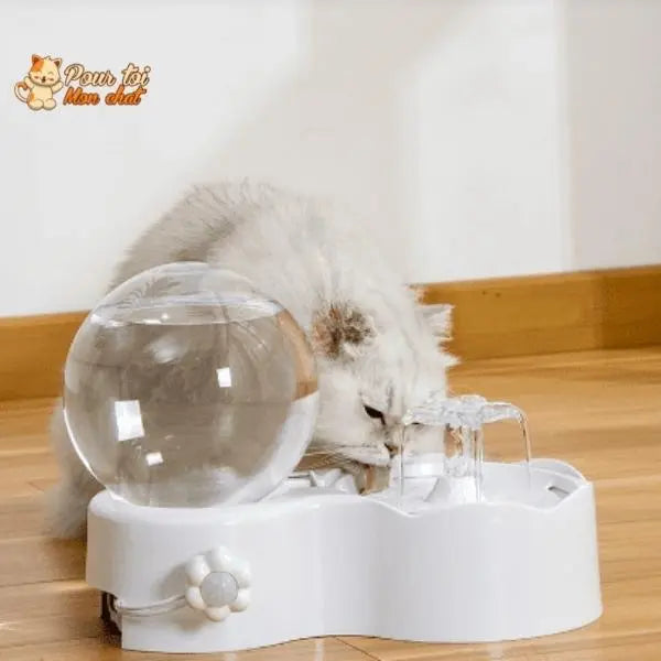 Fontaine pour chat avec pompe à eau silencieuse avec capteur de