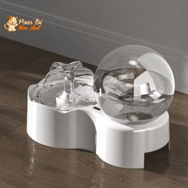 Fontaine pour chat avec pompe à eau silencieuse avec capteur de mouvement - Pour toi Mon chat