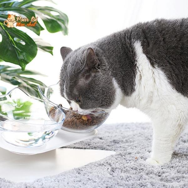Gamelle Tête de Chat 2 en 1 - Cat'Twin'Bowl™ - Pour toi Mon chat