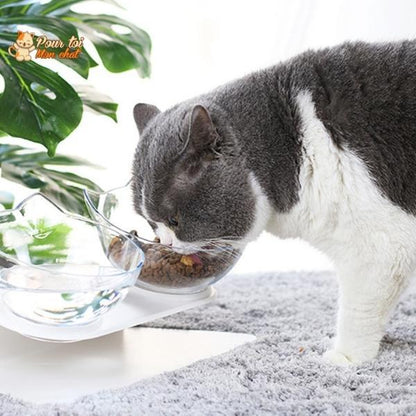 Gamelle Tête de Chat 2 en 1 - Cat'Twin'Bowl™ - Pour toi Mon chat