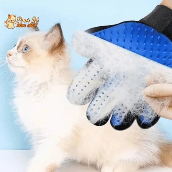 Gant de toilettage et de massage pour chat - Clean'Cat™ - Pour toi Mon chat