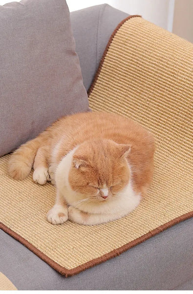 Grattoir et tapis de protection pour canapé pour chat – Pour toi