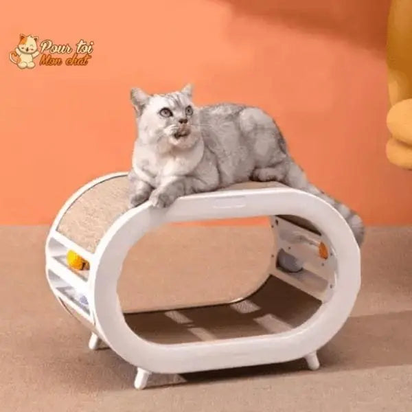 Griffoir ludique, design et spacieux pour chats - Pour toi Mon chat