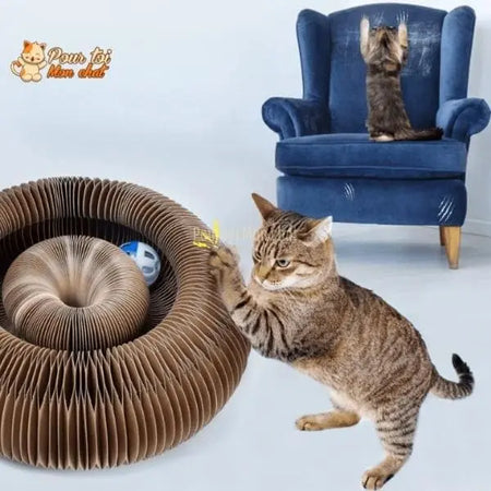 Griffoir magique modulable en jouet pour chat - Accordéon4Cat™ - Pour toi Mon chat
