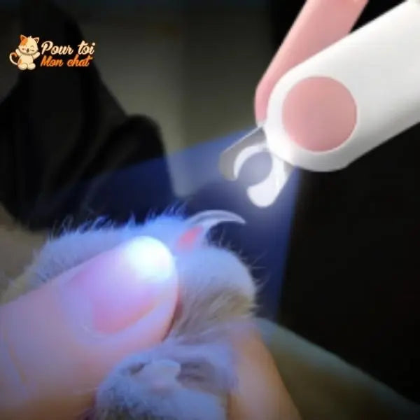 Coupe-ongles Pour Chien Avec Lumière Et Loupe - Silencieux, Précis - Pour Chiens Et Chats, Petites à Grandes Races