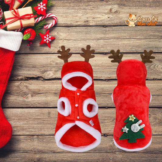 Noël - Déguisement de Noël pour Chat - JoliRenne™ - Pour toi Mon chat