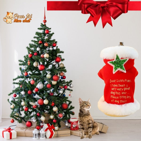 Noël - Déguisement de Noël pour Chat - JoliRenne™ - Pour toi Mon chat