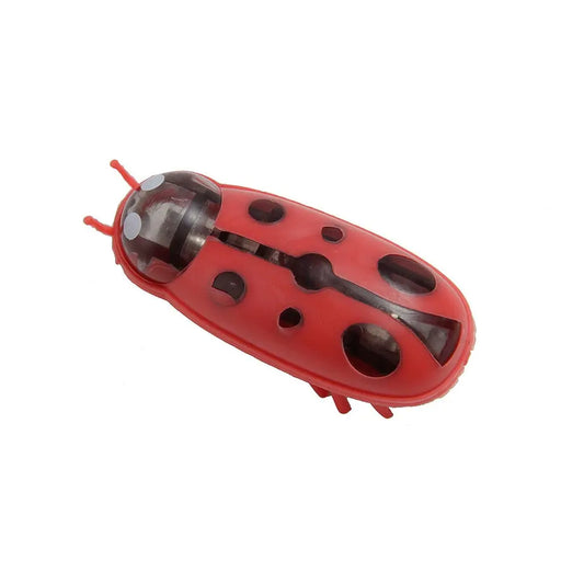 Jouet électrique interactif insecte pour chats Pour toi Mon chat