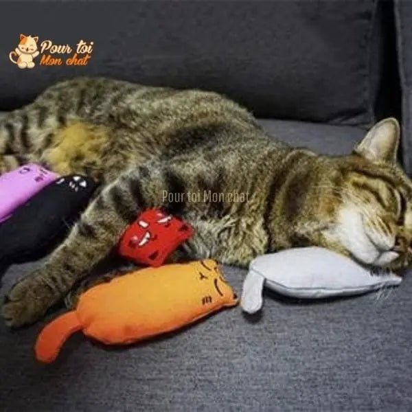 Jouet en peluche pouvant être garni d’herbe à chat - MonDoudouChat™ - Pour toi Mon chat