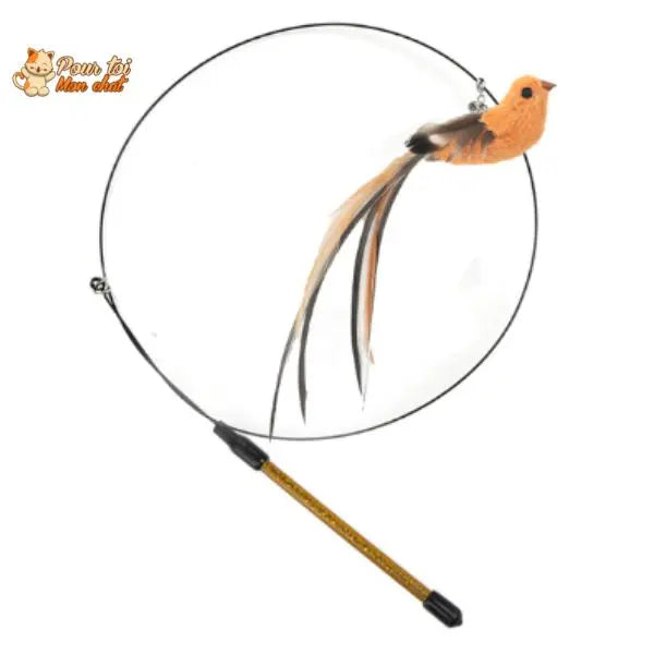 Jouet incroyable pour chat - Attrap'bird™ - Pour toi Mon chat