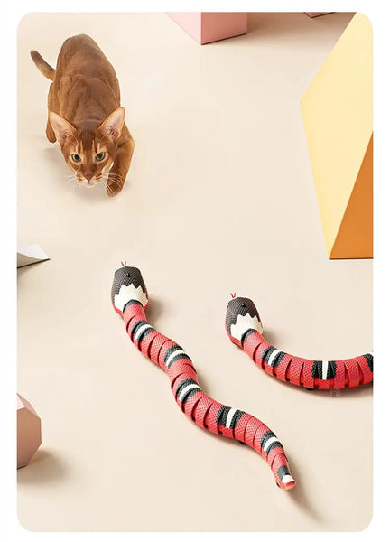 Jouet serpent interactif et intelligent pour chats Pour toi Mon chat