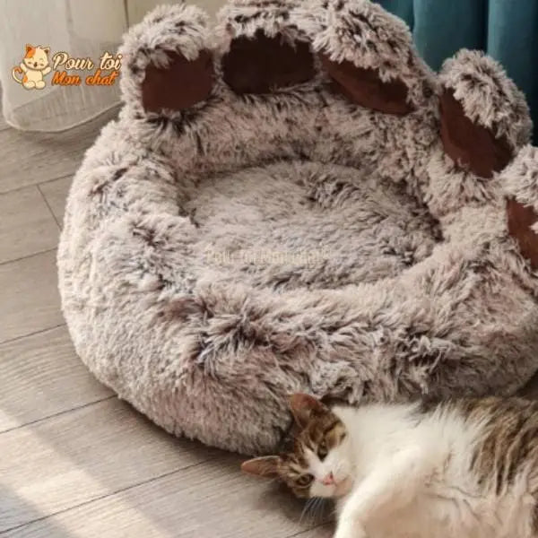 LIT À GRIFFES D’OURS POUR CHAT - TEDDYCAT™ - Pour toi Mon chat