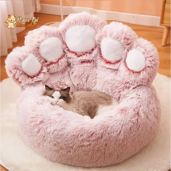 LIT À GRIFFES D’OURS POUR CHAT - TEDDYCAT™ - Pour toi Mon chat