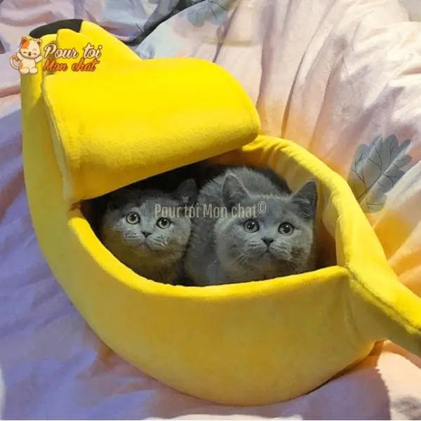 LIT BANANE POUR CHAT – Banana’Chat™ - Pour toi Mon chat