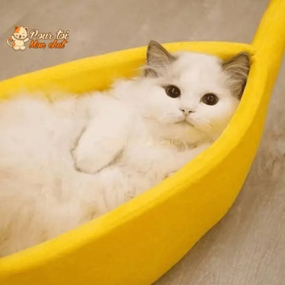 LIT BANANE POUR CHAT – Banana’Chat™ - Pour toi Mon chat