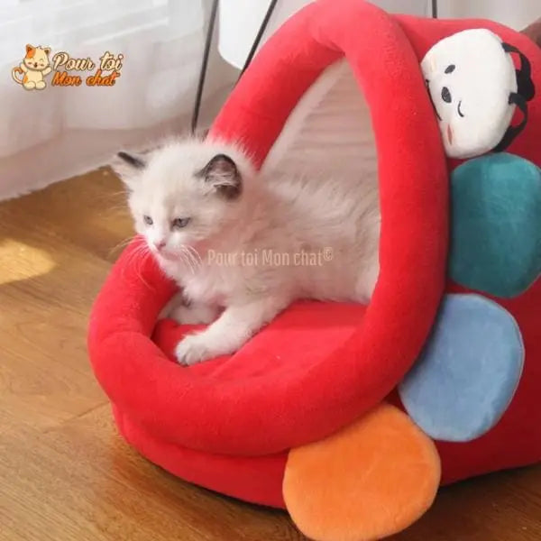LIT CARTOON COLORE POUR CHAT - CARTOON4CAT™ - Pour toi Mon chat