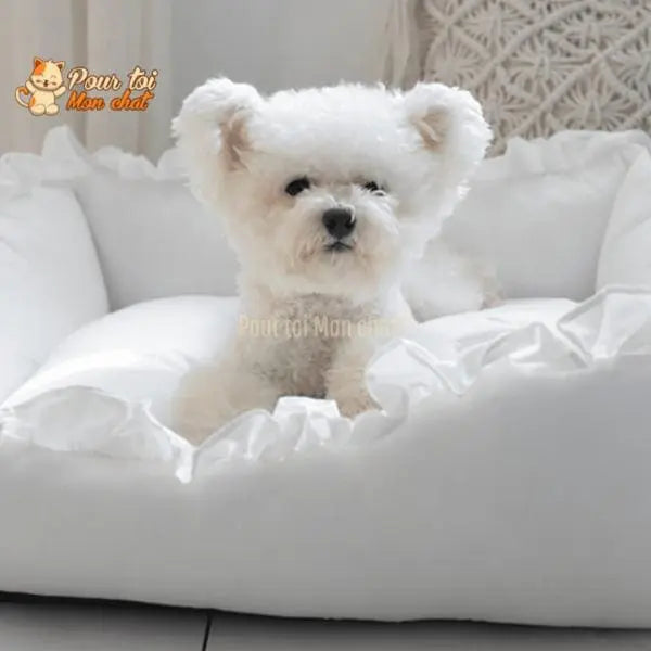 LIT COUSSIN DE PRINCESSE MIGNON EN DENTELLES POUR CHAT – Chat’dentelles™ - Pour toi Mon chat