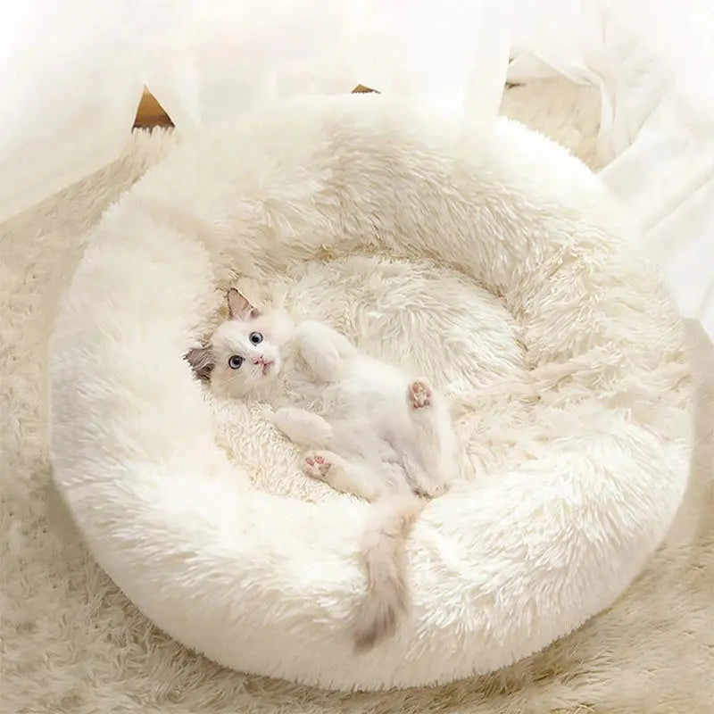 Lit à long poil apaisant en forme de donut pour chat Pour toi Mon chat