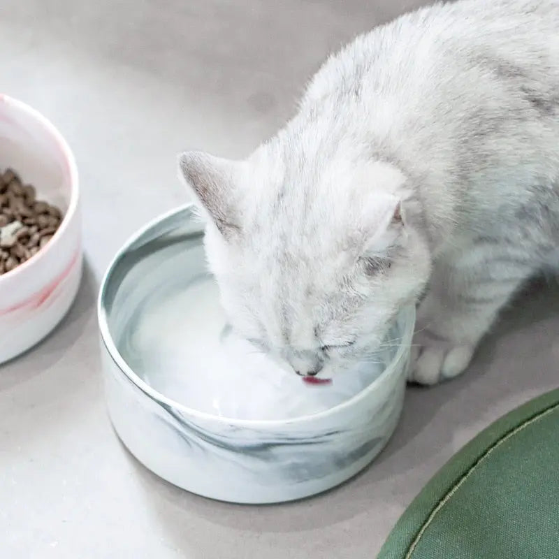 Mangeoire moderne en céramique pour chat Pour toi Mon chat