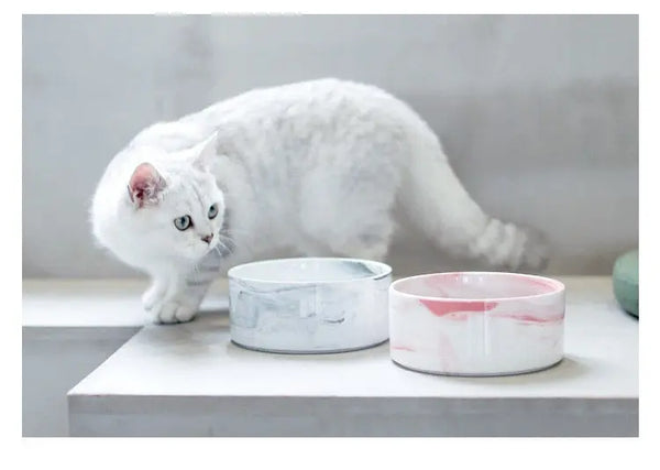 Mangeoire moderne en céramique pour chat Pour toi Mon chat