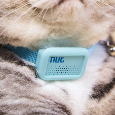 Collier support de repérage GPS pour chat