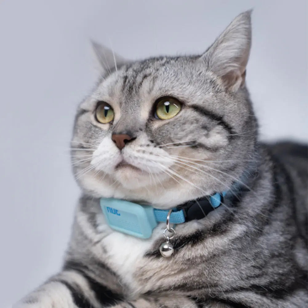 Mini traceur GPS avec collier pour chat Pour toi Mon chat