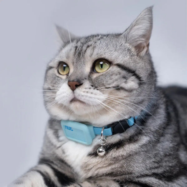 Collier support de repérage GPS pour chat – Pour toi Mon chat