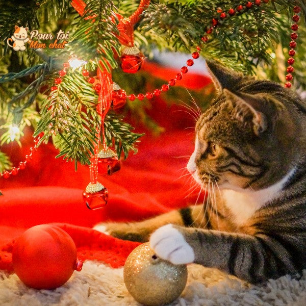 Noël - Niche, lit en forme de Sapin de Noël - MonBeauChatPin™ - Pour toi Mon chat