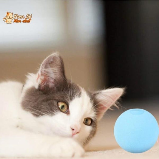 Balle avec des sons d'animaux - Music'Balls™ - Pour toi Mon chat