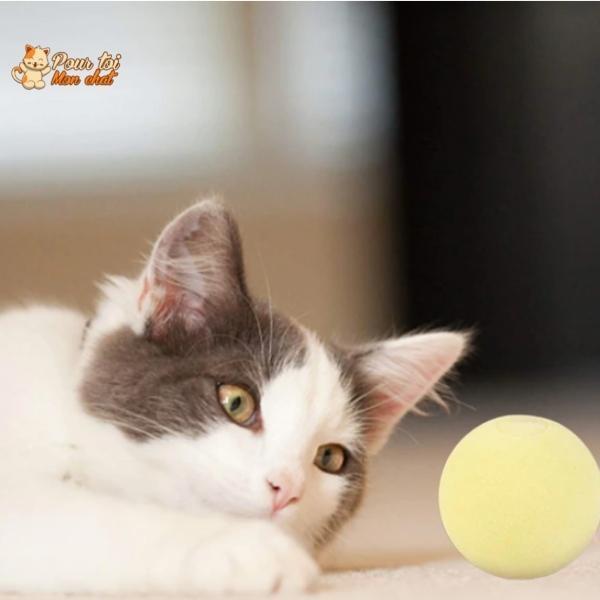 Balle avec des sons d'animaux - Music'Balls™ - Pour toi Mon chat