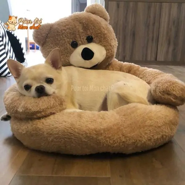 NICHE EN PELUCHE OURSON POUR CHAT - OURSàCHAT™ - Pour toi Mon chat