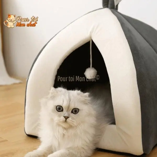 NICHE ORIGINALE À OREILLES DE LAPIN POUR CHAT – Oreill’Chat™ - Pour toi Mon chat