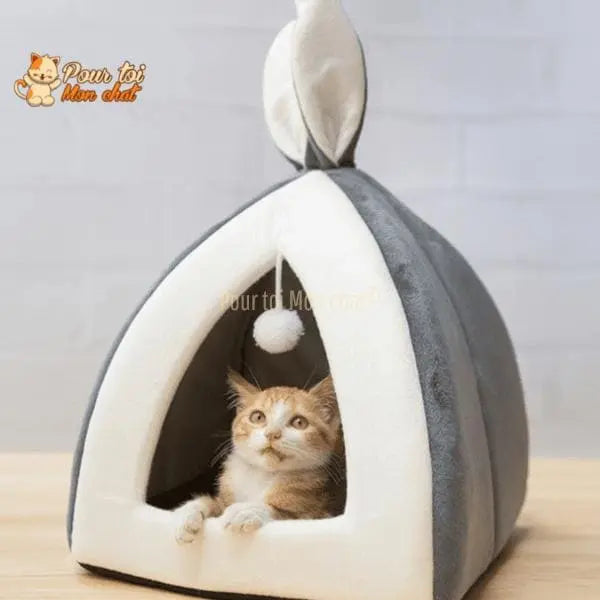NICHE ORIGINALE À OREILLES DE LAPIN POUR CHAT – Oreill’Chat™ - Pour toi Mon chat
