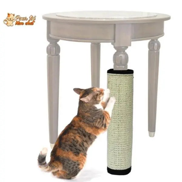 Tapis griffoir pour chat protecteur de meubles – Protec’Chat™ - Pour toi Mon chat