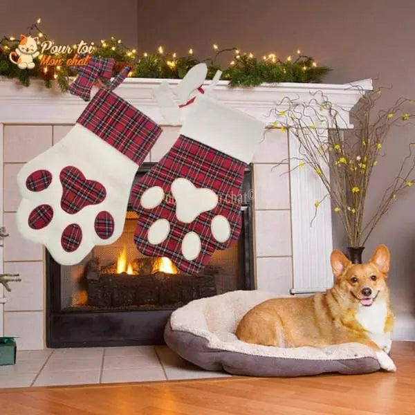 Noël Décors Chat, Chaussettes de Noël - Pour chats - Chat’chaussette’de’Noël™ - Pour toi Mon chat