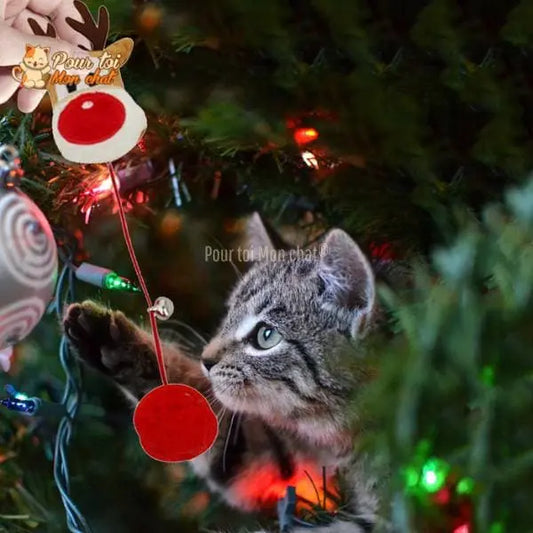 Noël Jouets en Peluche, fourrure, boule, cloche, poupées - Pour Chat - PomponNoëlChat™ - Pour toi Mon chat