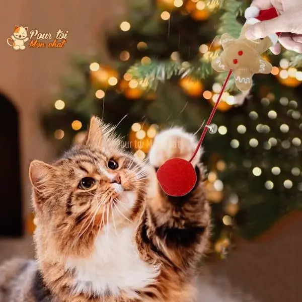 Noël Jouets en Peluche, fourrure, boule, cloche, poupées - Pour Chat - PomponNoëlChat™ - Pour toi Mon chat