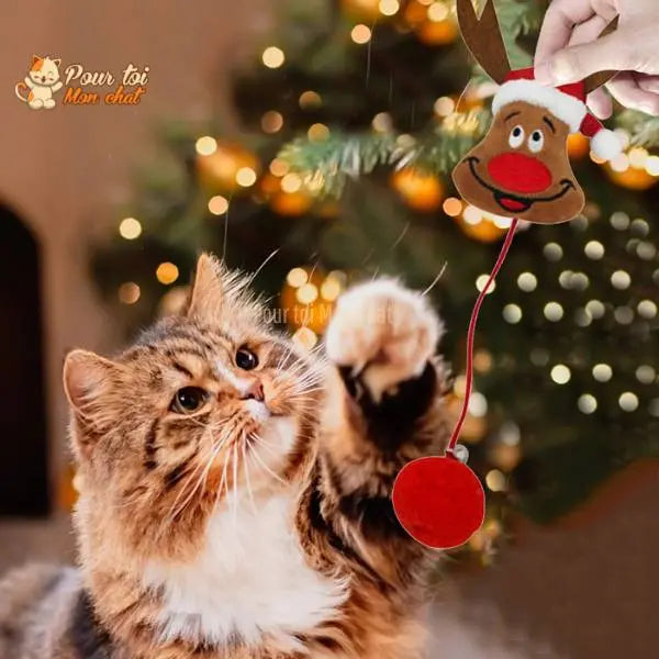 Noël Jouets en Peluche, fourrure, boule, cloche, poupées - Pour Chat - PomponNoëlChat™ - Pour toi Mon chat