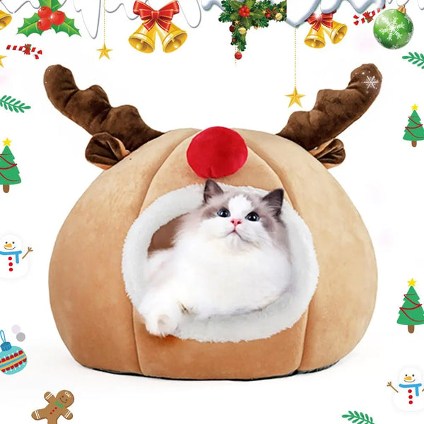 Noël Lit et Coussins en forme de Renne, Citrouille, Botte et Sapin de Noël - pour Chat - NOËLdeCHAT™ - Pour toi Mon chat