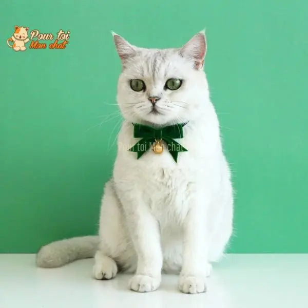Noël - Nœud papillon de Noël - Pour Chat et Chien – Chat’nœud’Pap’™ - Pour toi Mon chat