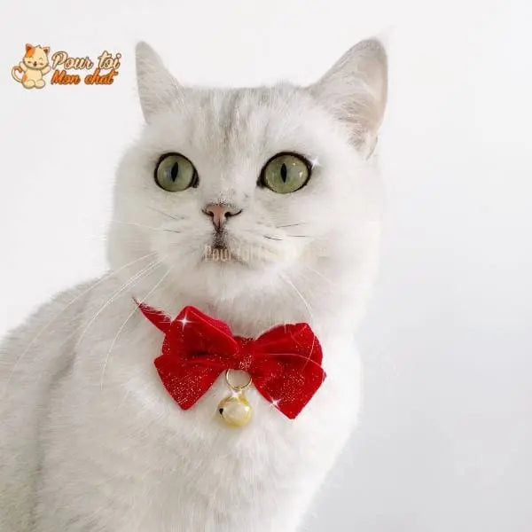 Noël - Nœud papillon de Noël - Pour Chat et Chien – Chat’nœud’Pap’™ - Pour toi Mon chat