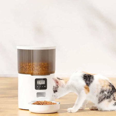 Nouveau distributeur de nourriture intelligent pour chats Pour toi Mon chat