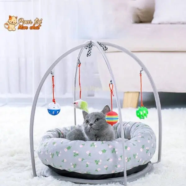 PANIER DE JEU LUDIQUE ET CONFORTABLE POUR CHAT - ARC4CAT™ - Pour toi Mon chat