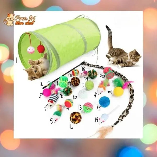 Pack de jouets divers et rigolos pour chat - TousmesJouets4Cat™ - Pour toi Mon chat