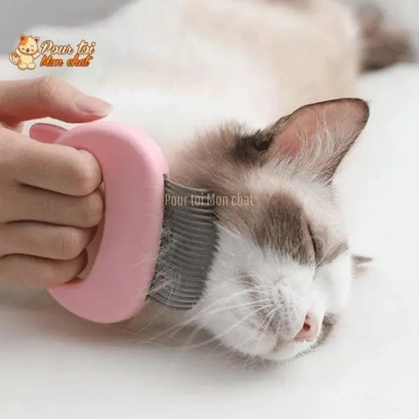 Peigne de toilettage et de massage pour chats – Grat’monChat™ - Pour toi Mon chat