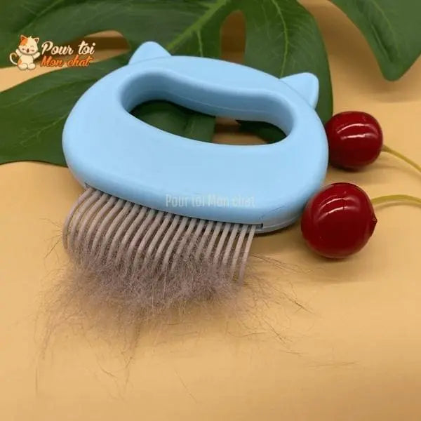 Peigne de toilettage et de massage pour chats – Grat’monChat™ - Pour toi Mon chat