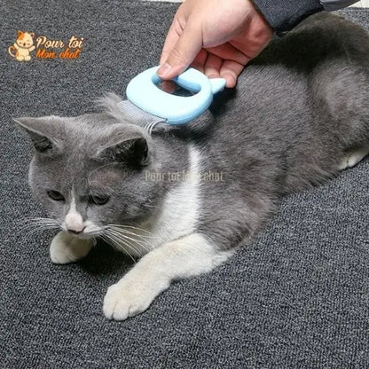 Peigne de toilettage et de massage pour chats – Grat’monChat™ - Pour toi Mon chat
