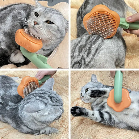 Peigne en acier inoxydable pour Pour toi Mon chat