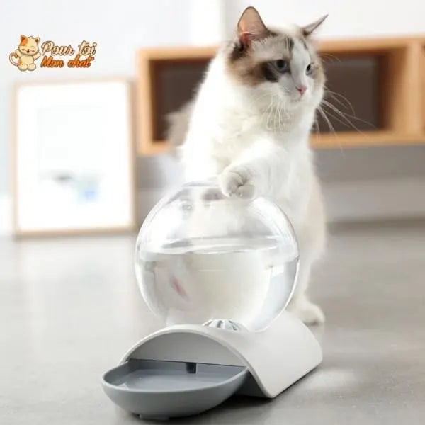 Fontaine à eau pour chat - Perfect Sphère - Pour toi Mon chat